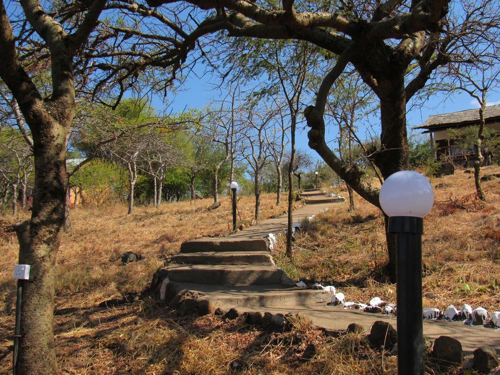 מטו וואמבו African Sunrise Lodge And Campsite מראה חיצוני תמונה